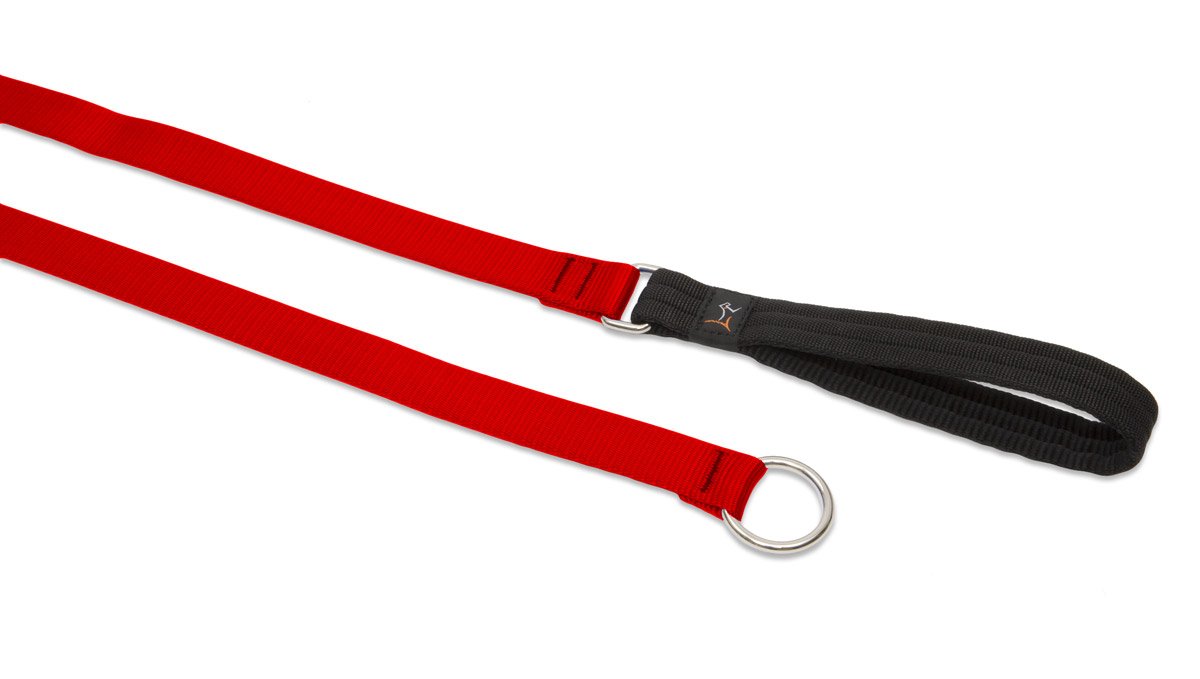 LupinePet Basics 2,5 cm czerwona smycz 1,8 m dla średnich i większych psów