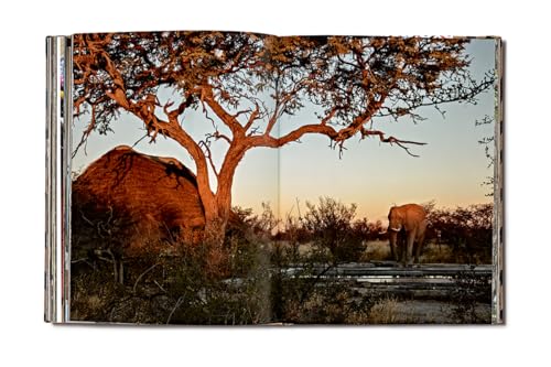 Image of Safari Style: Exceptional African Camps and Lodges―Stunning photographic volume showcasing the interior decor of Africa's foremost luxury and eco-safari lodges