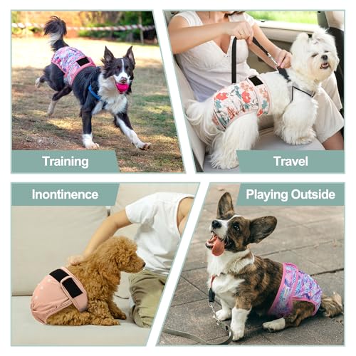 Image of Washable Reusable Female Dog Period Diapers for Heat Doggie Puppy Diapers for Female Dogs, M
