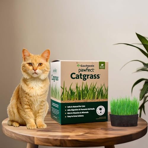 Image of Pawfect Cat Grass Growing Kit with Planter - 2 Plastic Grow Bags, 4 Coco Peat Discs & Wheatgrass Seeds | Ideal for Indoor Cats, Aids Digestion & Reduces Hairballs | Easy-to-Grow