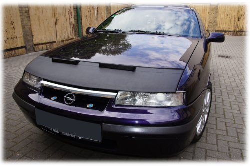 l modo ideale per proteggere il cofano della vostra auto da pietre e insetti.