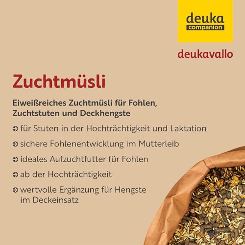 deukavallo Zuchtmüsli 20 kg | Pferdefutter | proteinreiches Müsli für Zuchtstuten, Fohlen und Hengste | unterstützt Zuchtkondition + Milchbildung + gesunde Entwicklung des Fohlen