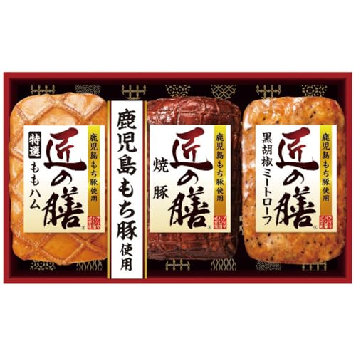 y2025 Εz v}n ؎gp ̑VMtgZbg TZ-MB (Ε̂)