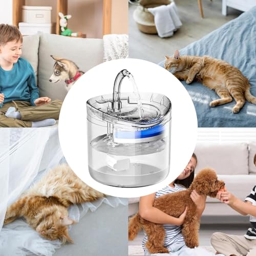 Bebedero inteligente de 2L para perros pequeños y gatitos de interior 6