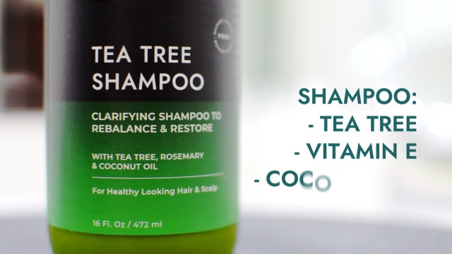 Amazon.com : Tea Tree Shampoo and Conditioner Set 2x16oz