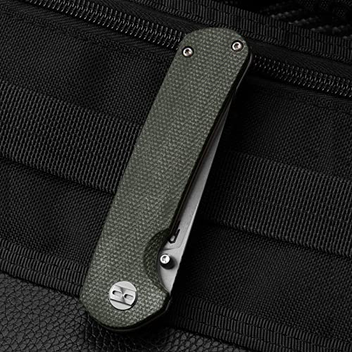 Bestech Knives Pocket Folder Folding Knife: 3" D2 Steel Blade, Micarta Scales, Thumbstud, Flipper, Liner Lock, Edc Steel Clip, Bg31B-1 (Green Micarta) #TOP1