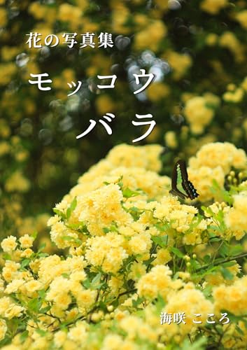 花の写真集 モッコウバラ (Short Flower Photobooks)