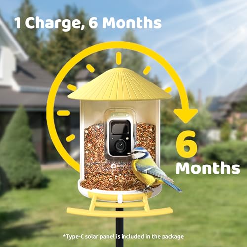 Birdfy -Smart Bird Feeder Camera, Auto Record and Save Bird Videos & Push Motion Notification, Clear Night Vision, Wireless Bird Box Camera, Camera Bird Feeders with App, Yellow