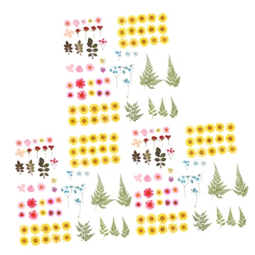 SEWACC 9 Conjuntos Estojo Para Scrapbooking Decalque Sabão Folhas Suprimentos Flores Pétalas Unhas T