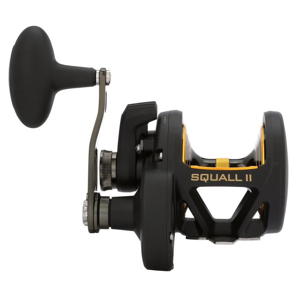 Amazon | PENN Squall II Lever Drag Fishing Reel, Size 30, Graphite