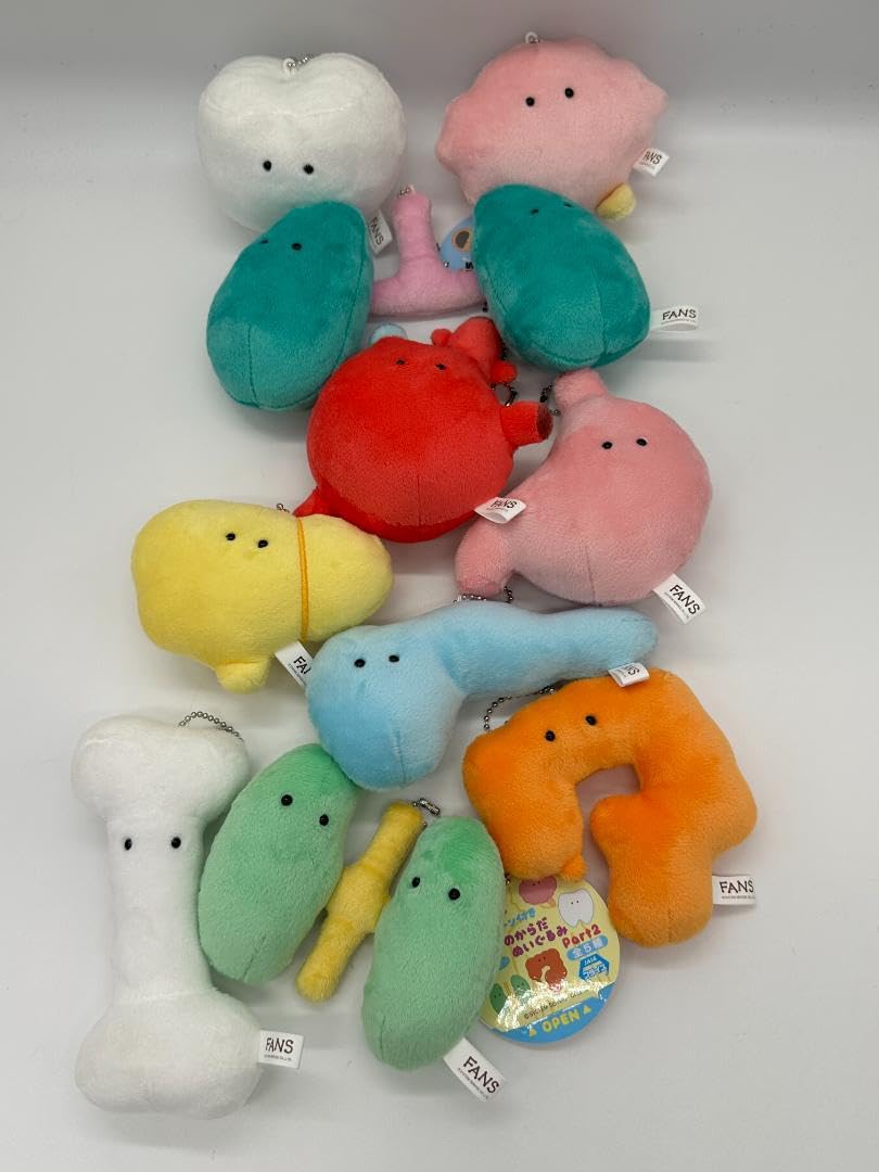 Amazon.co.jp: FANS にんげんのからだ ぬいぐるみ マスコット