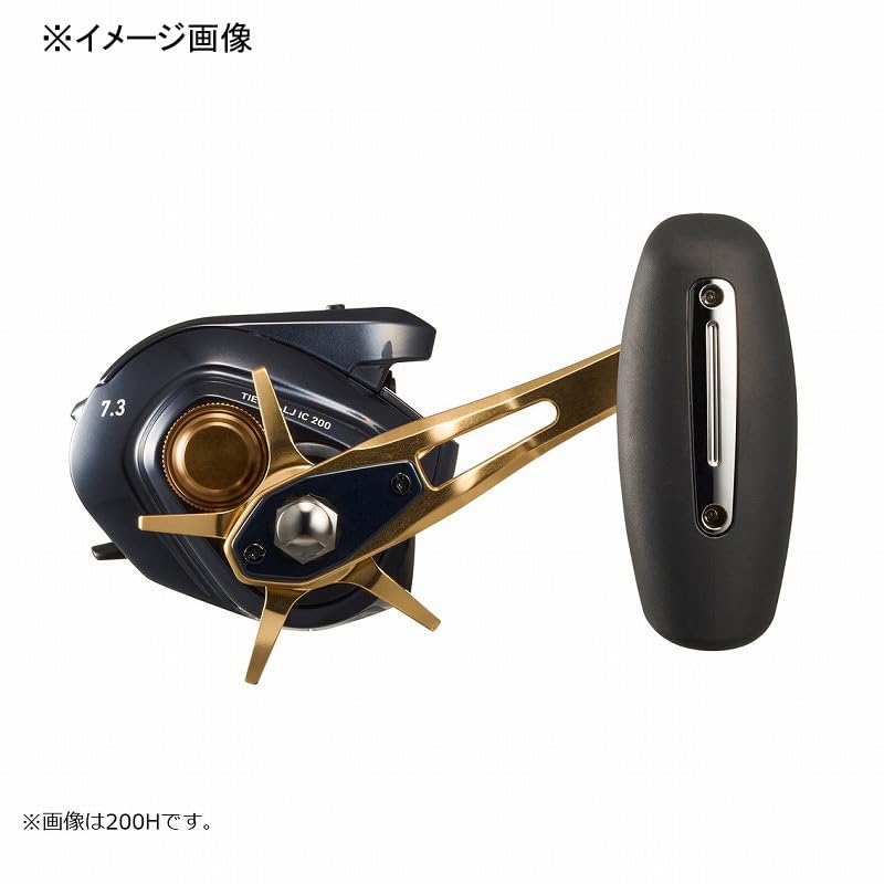 Daiwa Tierra LJ IC200 Kibeit Reel with Counter : Amazon.com.au