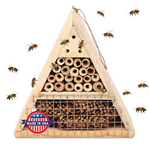 Mason Bee House - Handmade USA Natural Elderberry Bee Hotel - Bee Hive Attracts Peaceful Bee Pollinators to Enhance Garden Productivity