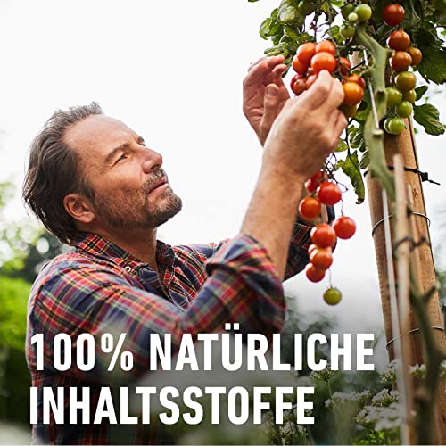 Compo Bio Tomaten- und Gemüse Düngestäbchen und 2 Monate Langzeitwirkung, 20 Stück