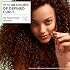 Garnier Fructis Curl Nourish Sulfate Free Moisturizing Shampoo, Conditioner + Air Dry Cream Defining Butter Set (3 Items), 1 Kit (Packaging May Vary)