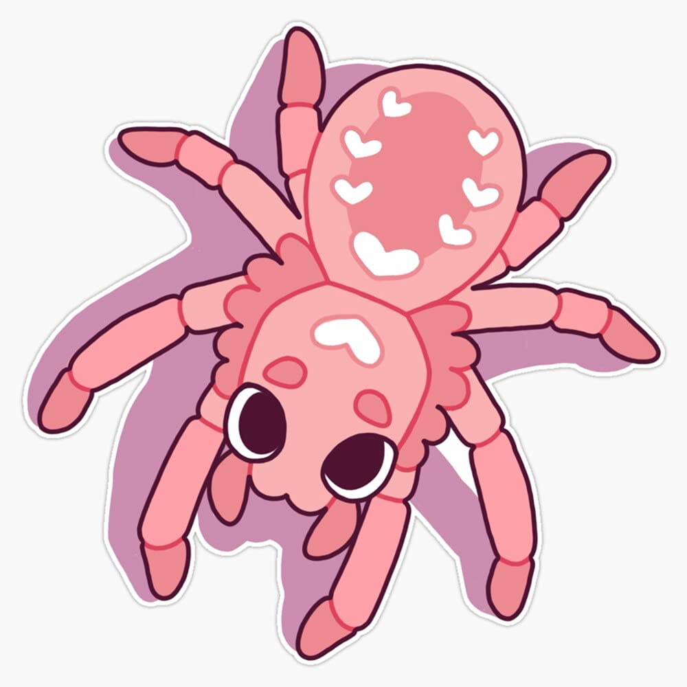 MAGNET Kawaii Spiders Magnet Bumper Sticker Car Magnet Flexible Reuseable Magnetic Vinyl 5