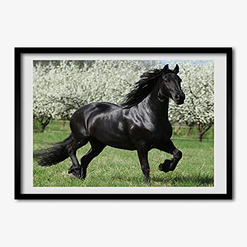 Peinture Photo Affiche Fleurs De Cheval Noir Cadre MDF 70x50