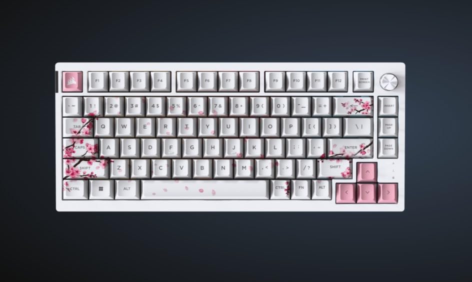 Amazon.com: Corsair K65 Plus Wireless 75% RGB Hot-Swappable