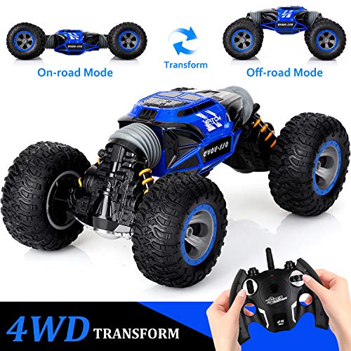 Best Rc Crawler For Adults