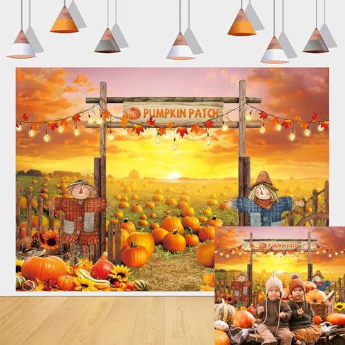 Fall Backdrop Autumn Pumpkin Patch Photo Background Fall Theme Party Decor