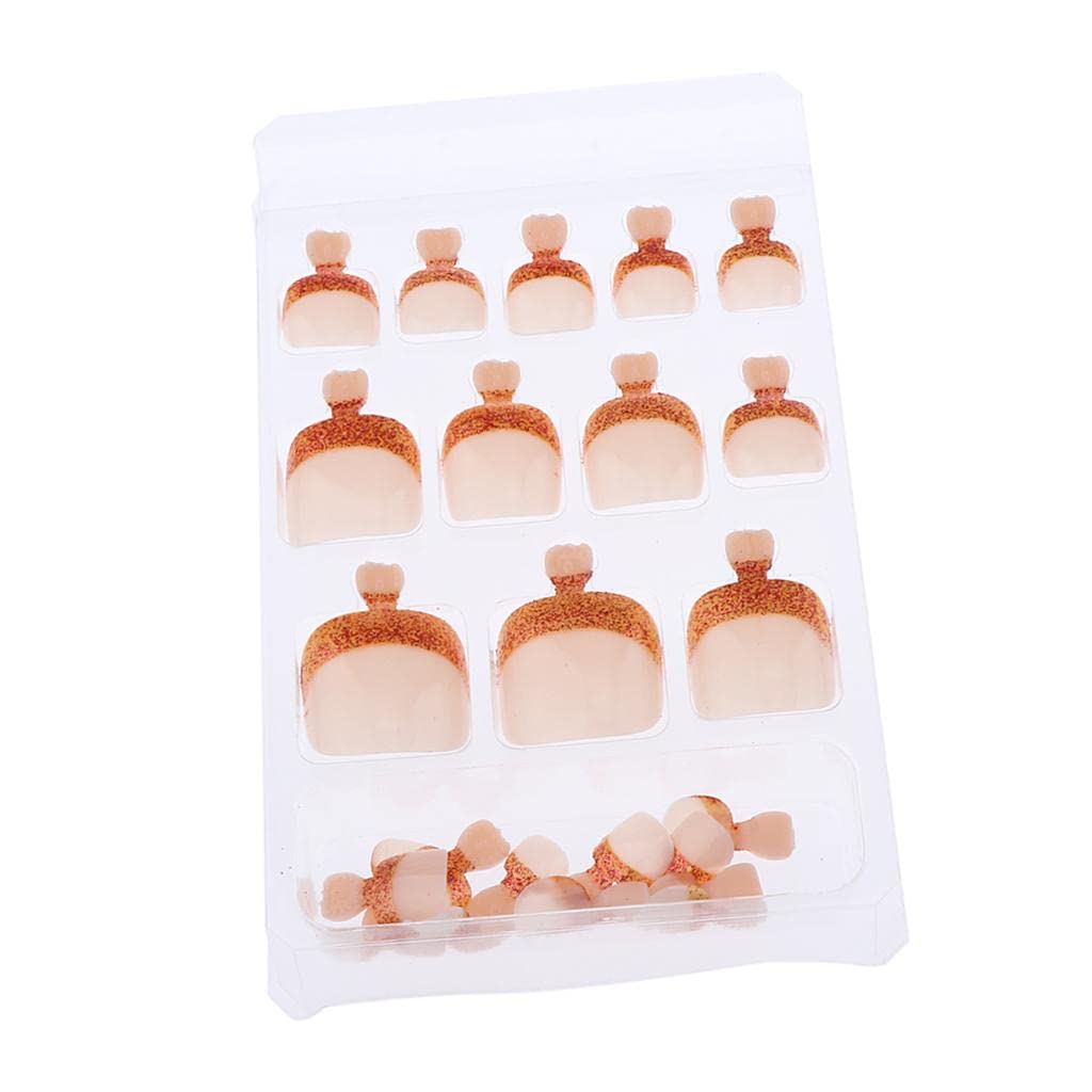 arythe 24pcs False Toe Nails French Full Toenails Feet Nail Art Fake Decoration HY-TN-4025