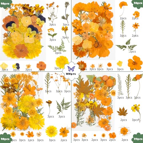 Image of 220 Pcs Dried Pressed Flowers for Resin Crafts, Real Natural Pressed Flowers and Leaves Kit Butterfly Stickers Vacuum Sealed Dry Flowers for DIY Epoxy Resin Jewelry Molds, Candle Soap Making, Nail Art