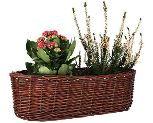 KOTARBAU® Übertopf aus Weide Flechtwaren Blumentopf Oval für Blumen Pflanzen Naturkorb 40 cm Blumenkasten Rattan Flechtkorb