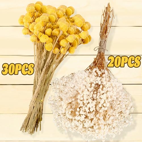 50 Pzas Flores Secas Billy Balls y Baby’s Breath miniatura 4