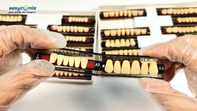Amazon.com: Easyinsmile Dental Synthetic Resin Teeth A2 A3 False