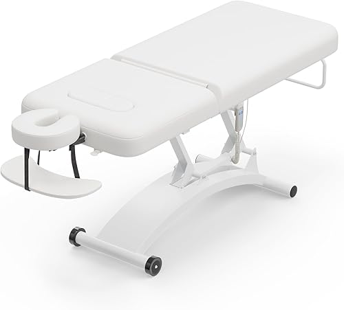 Paddie Cama de spa elevadora eléctrica, mesa de masaje estacionaria profesional con respaldo hidráulico y agujero extraíble para el pecho, cama de