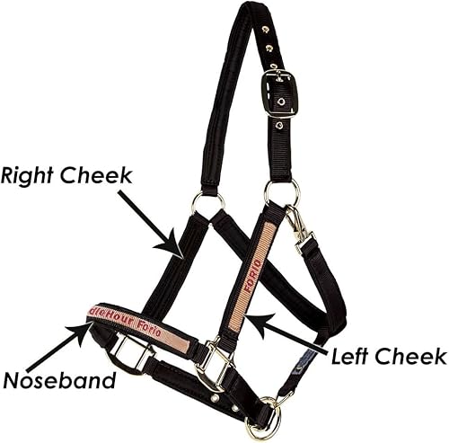 Miniatura 9 de Cabestro de caballo de nailon totalmente acolchado  Cabestro para caballo diseñado para evitar rozaduras  Corona y bordillo de caballo ajustable  1