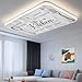 2 Pack Fluorescent Light Cover for Classroom Ceiling, Kitchen Fork Spoon Magnetic Light Cover Filters, Cooking Tools Text Wood Grain Lights Covers for Office School Home Drop Lamp Ceiling Decor 4x2 ft