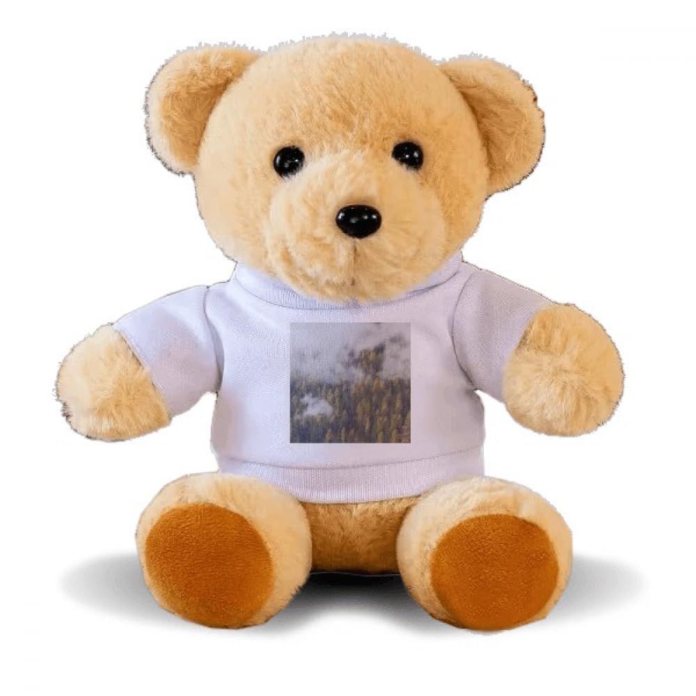 mountain fog mist cloud autumn Bear Toy Animal Plush Toy Hoodie Doll