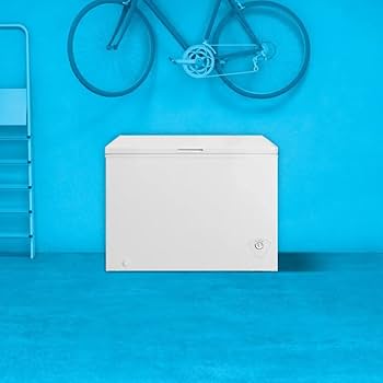 Amazon.com: Element ECF10MD1BW 10.2 Cu. Ft. White Chest