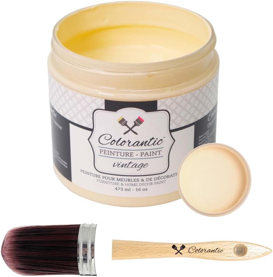 Colorantic-Bundle Orange Chalk Paint (Orangesicle,16 Oz) and Oval Purple Chalk Paint Brush