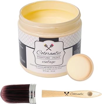Colorantic-Bundle Orange Chalk Paint Orangesicle,16 Oz and Oval Purple Chalk Paint Brush