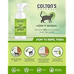 Cat Repellent Outdoor Spray Indoor (32 OZ) 100% Organic & Natural Yard Furniture Repellant - Image 2