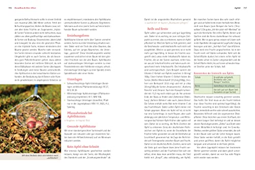Handbuch Bio-Obst: Sortenvielfalt erhalten. Ertragreich ernten. Natürlich genießen