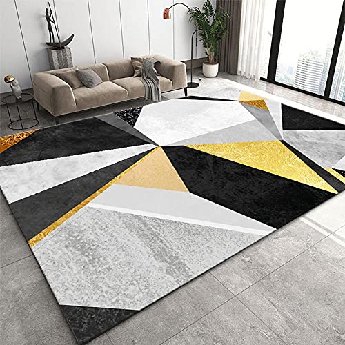 Moquette salon minimaliste chic et tapis de haute densité