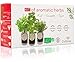Produktbild Cultivea® Bio Kräuter Anzuchtset -100% Öko Kräutersamen  Indoor Garten  Bio Samen  Das perfekte Geschenkset  Pflanzset (Minze, Koriander und Thymian)  DIY