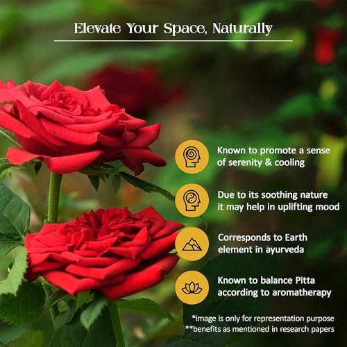 Image of Rose & Oud Reed Diffuser Set by Tattvic Essence | 6 Fiber Reed Sticks Free | Stress Relief & Aromatherapy | Long-Lasting, Smoke-Free Air Freshener for Bedroom & Bathroom | Ideal for Gifting | 120ml