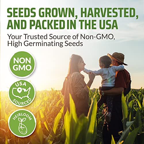 17 Herb Culinary Seed Vault - 5200+ Herbs Seeds For Planting Indoor Or Outdoor Garden - Heirloom, Non Gmo | Hydroponic Herb Garden Seeds With High Germination | Cilantro, Mint, Chives, Basil, Parsley #TOP5