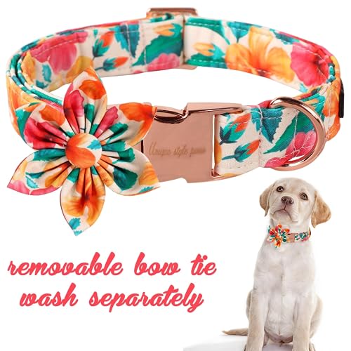 Unique style paws Dog Collar with Flower, Colorful Flower Collar - Image 3