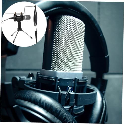 Microphone condensateur portable pour chanter au salon