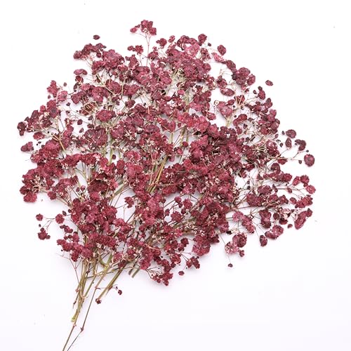 Flores secas prensadas Baby's Breath 70 piezas miniatura 2