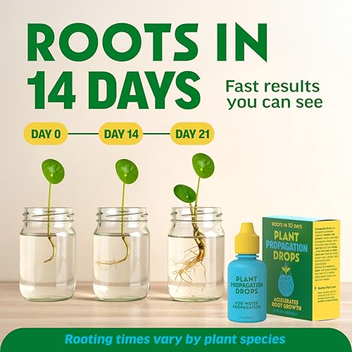 Rooting Drops para propagación de plantas 2 fl oz miniatura 3