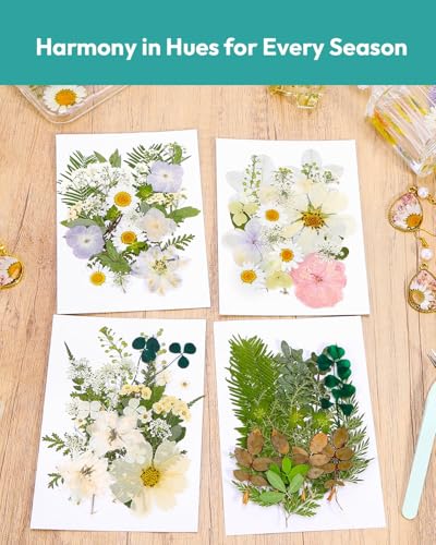 Image of Dried Flowers, Resiners 100Pcs Pressed Flowers for Craft