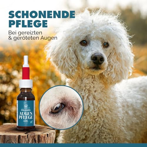 PAW WOW Euphrasia Augenpflege 20ml für Hunde & Katzen | Sanfte Augenreinigung | Natürliche Augen-Tropfen bei gereizten & geröteten Augen | Milde Pflege für Hunde und Katzen