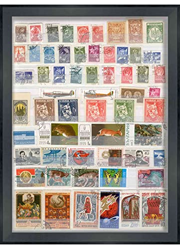 10x12 Black Shadowbox Frame - Shadow Box Frame Interior Size 10x12 x 1.25 Inches Deep - Black Frame Made to Display Items Up to 1.25 Inches Deep! Includes Shatter Resistant Acrylic, Backing, Hardware