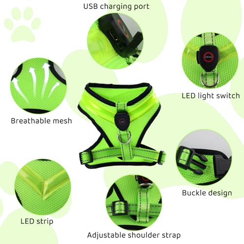 Fancysky Hundegeschirr Leuchtend Aufladbar Wiederaufladbarkeit, LED Leuchtgeschirr für Hunde, Atmungsaktive Hundegeschirre für Kleine und mittlere Hunde (M)